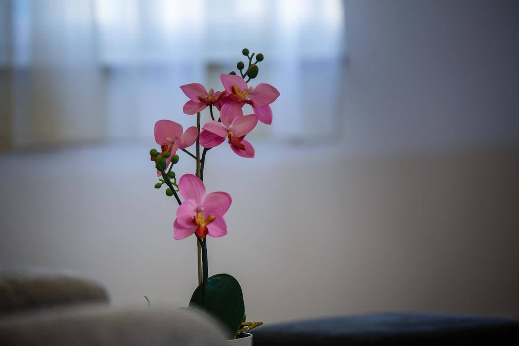 Foric Apartments With Outdoor Heated Pool 라브 외부 사진